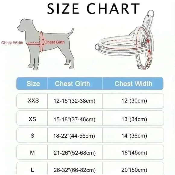 🌈 6/$60, Didog Soft Padded Dog Harness, Large, Turqoise/Purple - Picture 2 of 5